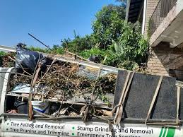 Best Commercial Junk Removal  in Acres Green, CO